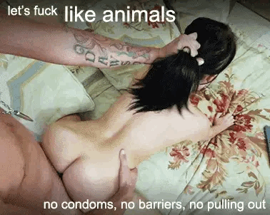 Animal Fucking Captions - The Best Hotwife Gif Captions 2020 â€“ Explicit & Nude - Cuckold Club