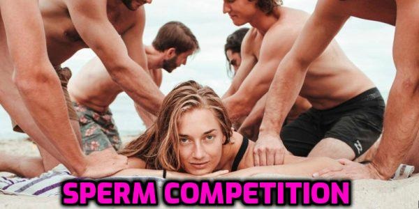 Sperm Competition Definition - How does it affect Cuckoldry