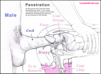 Sissy Transformation process with Anal Penetration