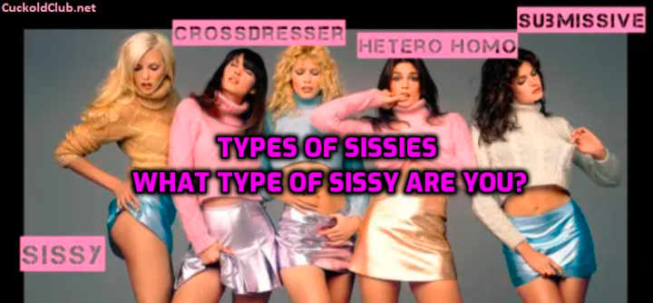 12 Types Of Sissies - What Type Of Sissy Are You?