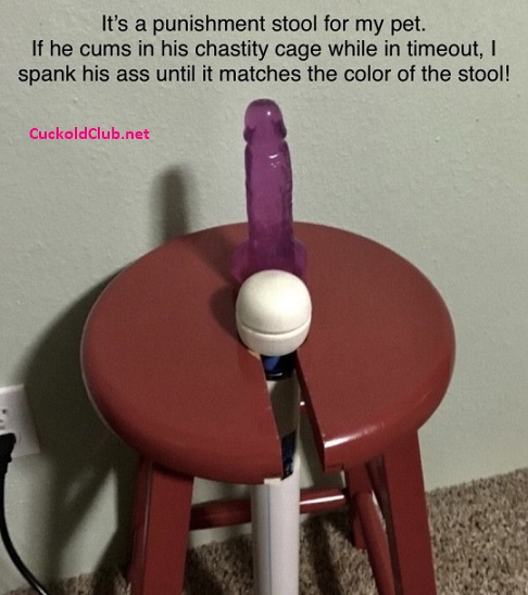 Punishment Stool for Chastity Caged Pet