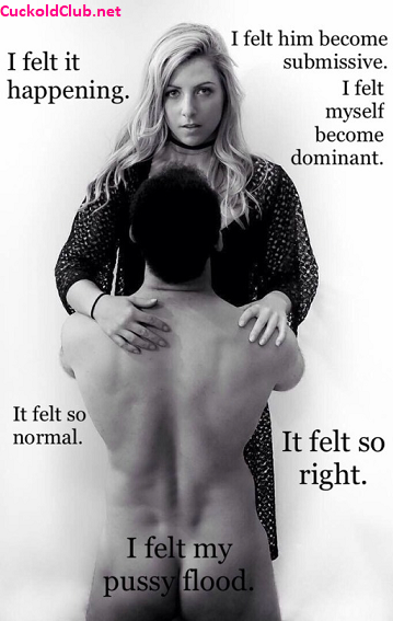 Dominant Wife Stories