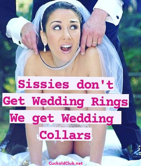 Wedding Collar for Sissy - The Cruelest Captions for Slave Sissy 2022