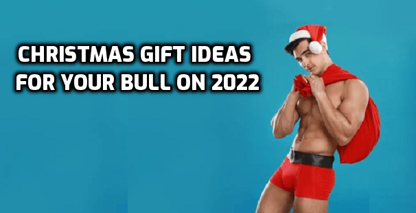 Christmas Gift Ideas for Your Bull on 2022