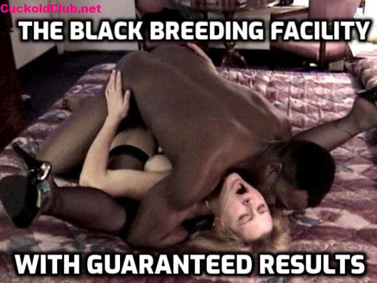Black Breeding facility for white women
